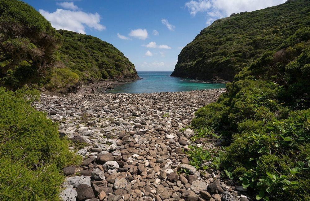 Willa Arajilla Retreat Lord Howe Island Zewnętrze zdjęcie