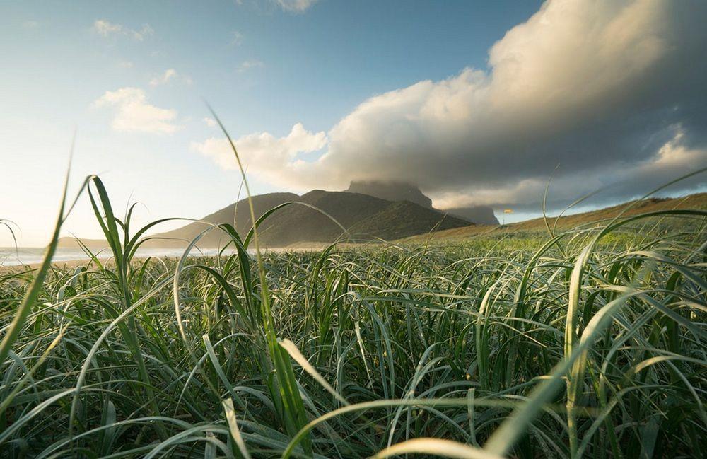 Willa Arajilla Retreat Lord Howe Island Zewnętrze zdjęcie