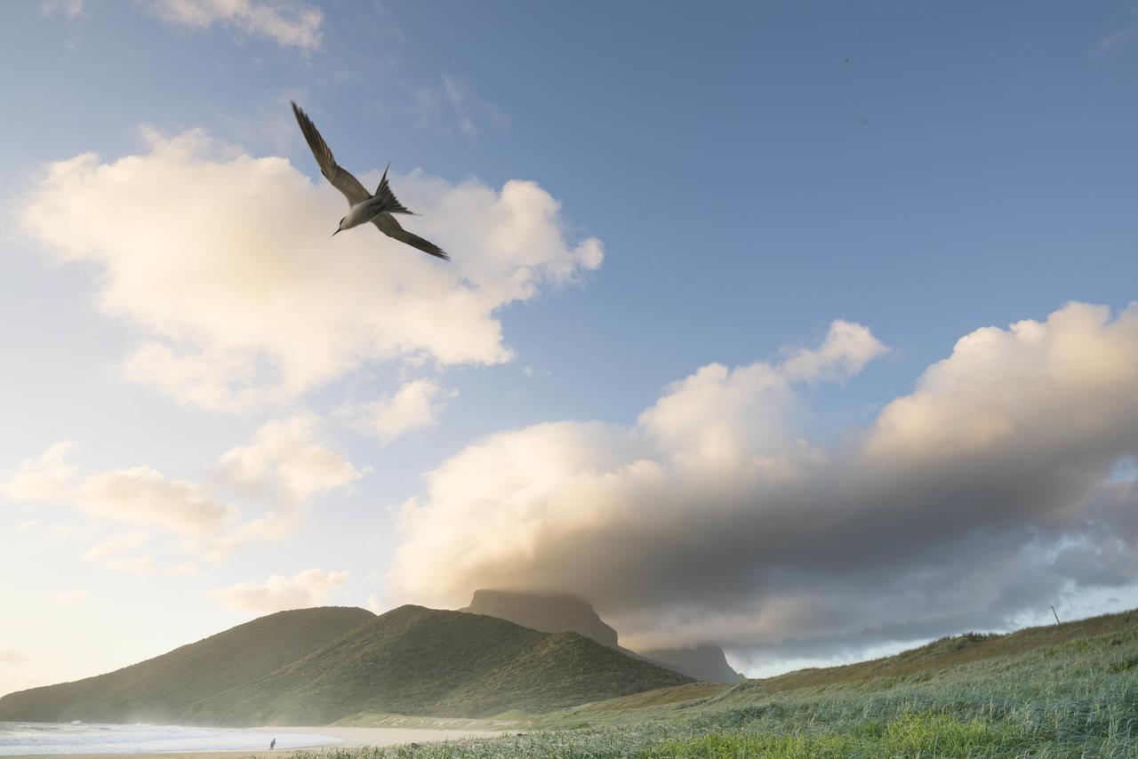 Willa Arajilla Retreat Lord Howe Island Zewnętrze zdjęcie